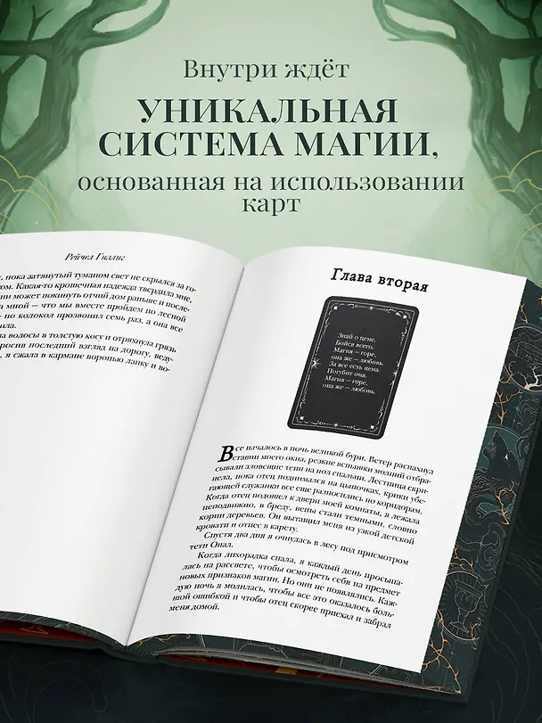 Книга Одно темное окно (Рейчел Гиллиг) — 9