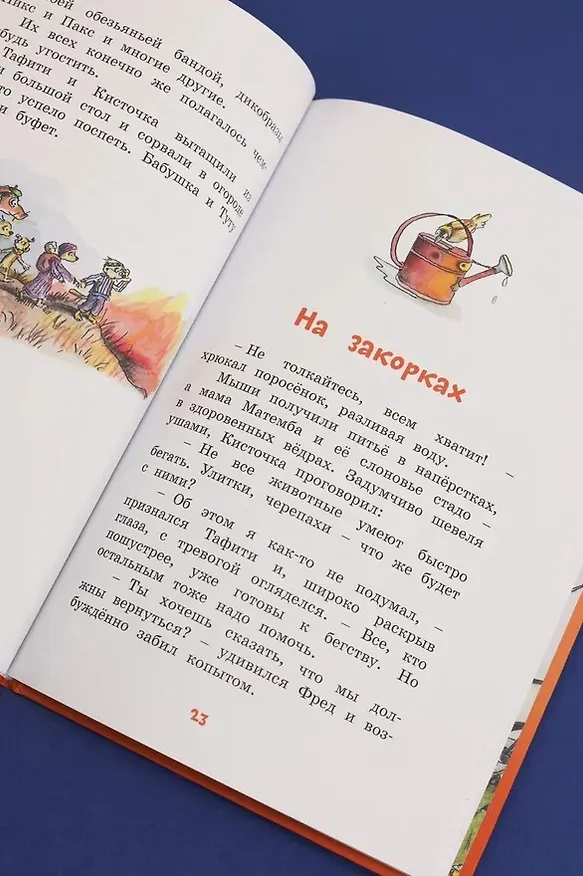 Книга Тафити и великий пожар (Юлия Бёме) — 11