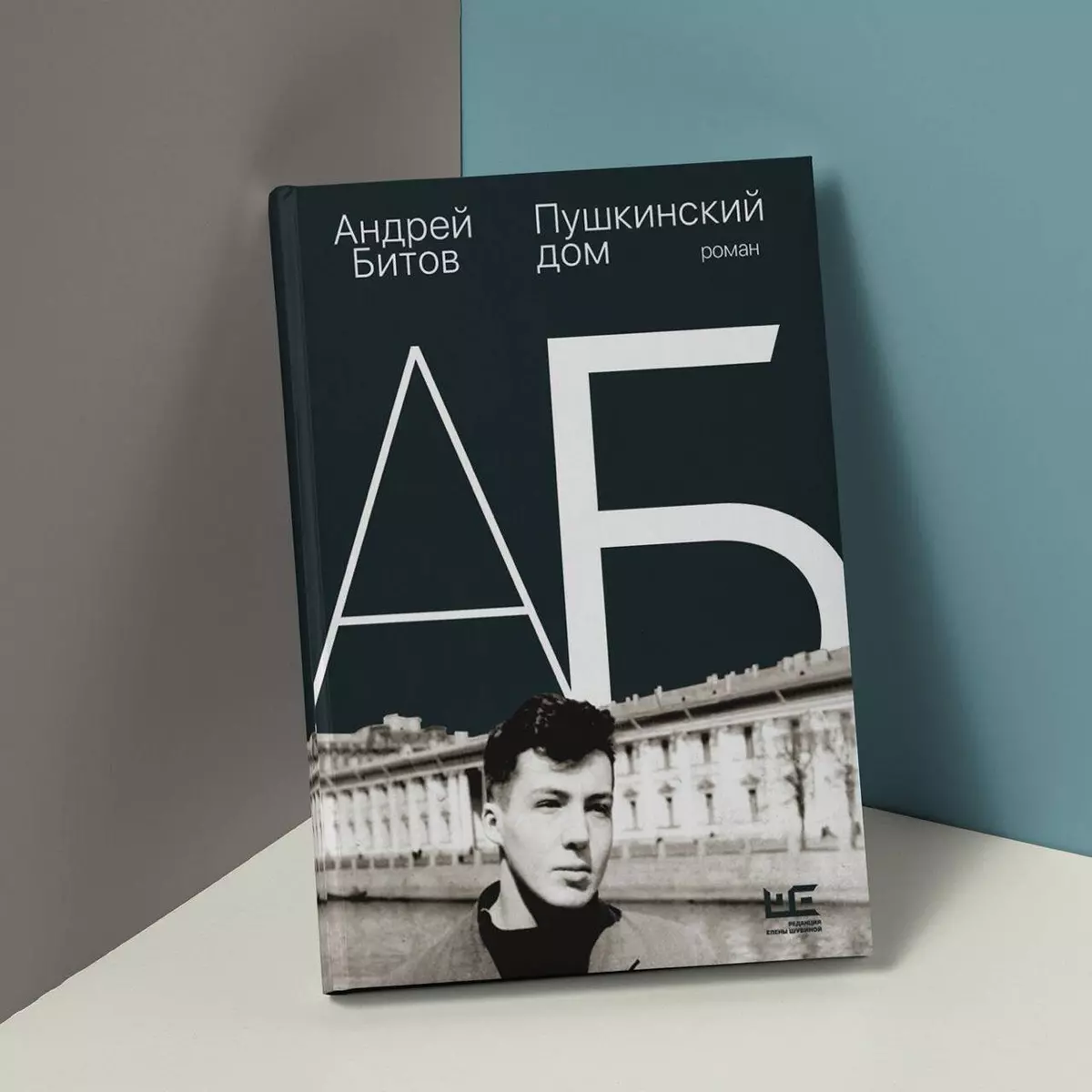 Пушкинский дом (Андрей Битов) - купить книгу с доставкой в  интернет-магазине «Читай-город». ISBN: 978-5-17-150484-7