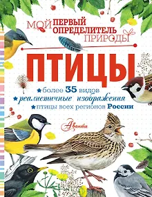 Птицы