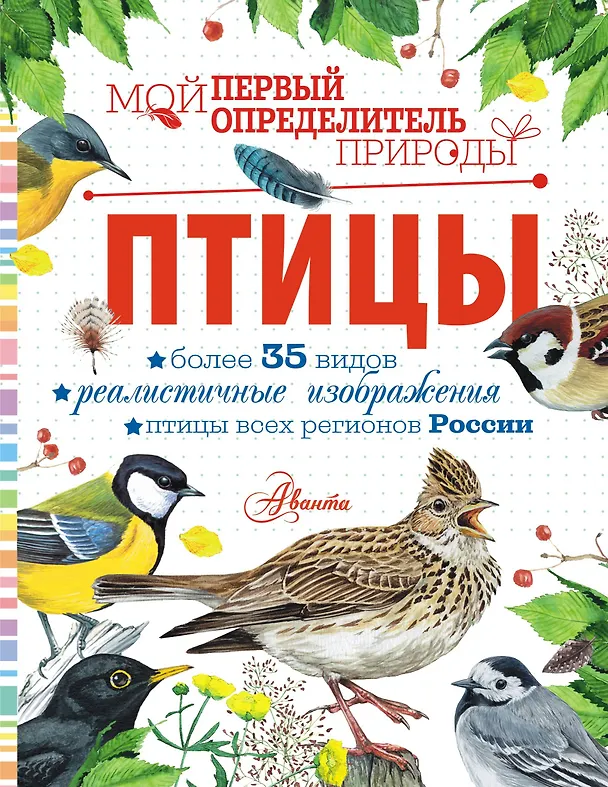 Книга Птицы (Мария Рахчеева) — 1