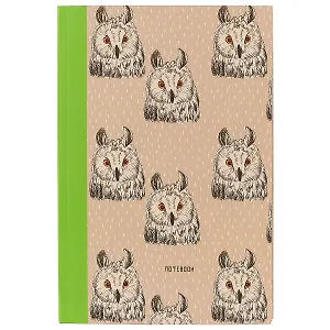 Книга для записей «Совы и филины», 96 листов, А5+