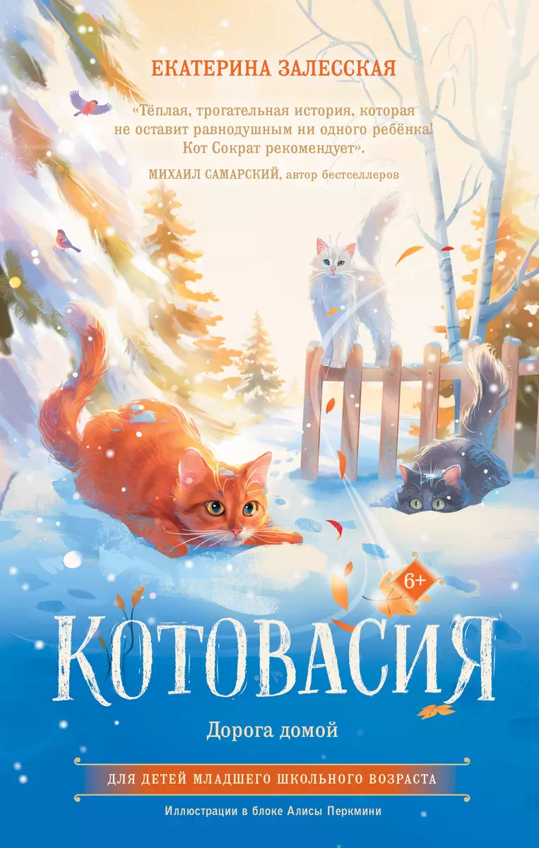 Котовасия. Дорога домой (Екатерина Залесская) - купить книгу с доставкой в  интернет-магазине «Читай-город». ISBN: 978-5-17-152065-6