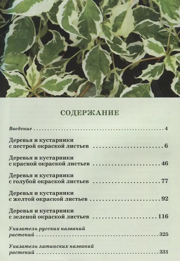 Книга Атлас декоративных деревьев и кустарников (Татьяна Коновалова) — 2