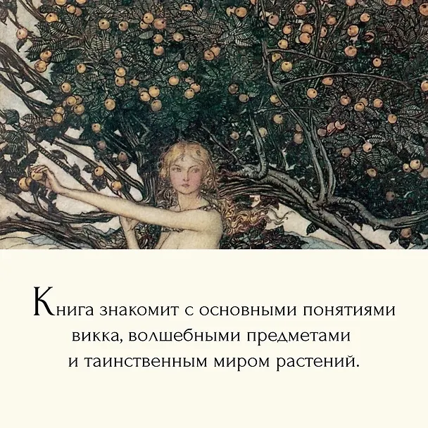 Книга Магия трав и волшебный бестиарий. Сборный комплект из 2-х книг с шоппером (Ипполита Дуглас Скотти ди Виголено, Сабрина Тонутти, Роберто Маркезини) — 10