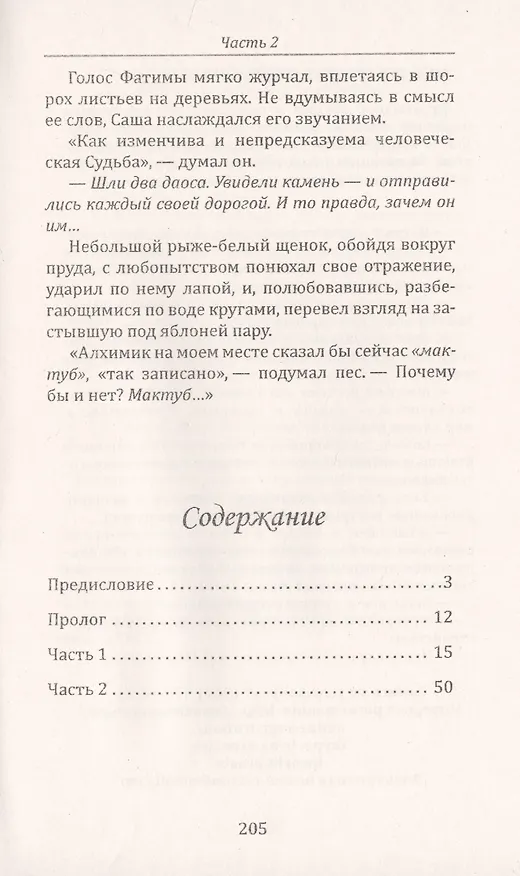 Книга Всадник на спине ветра или о чем умолчал "Алхимик" (Ирина Медведева, Ирина Медведева) — 2