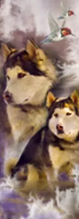 Закладка 3D (00119) (Мир открытий) 2303812