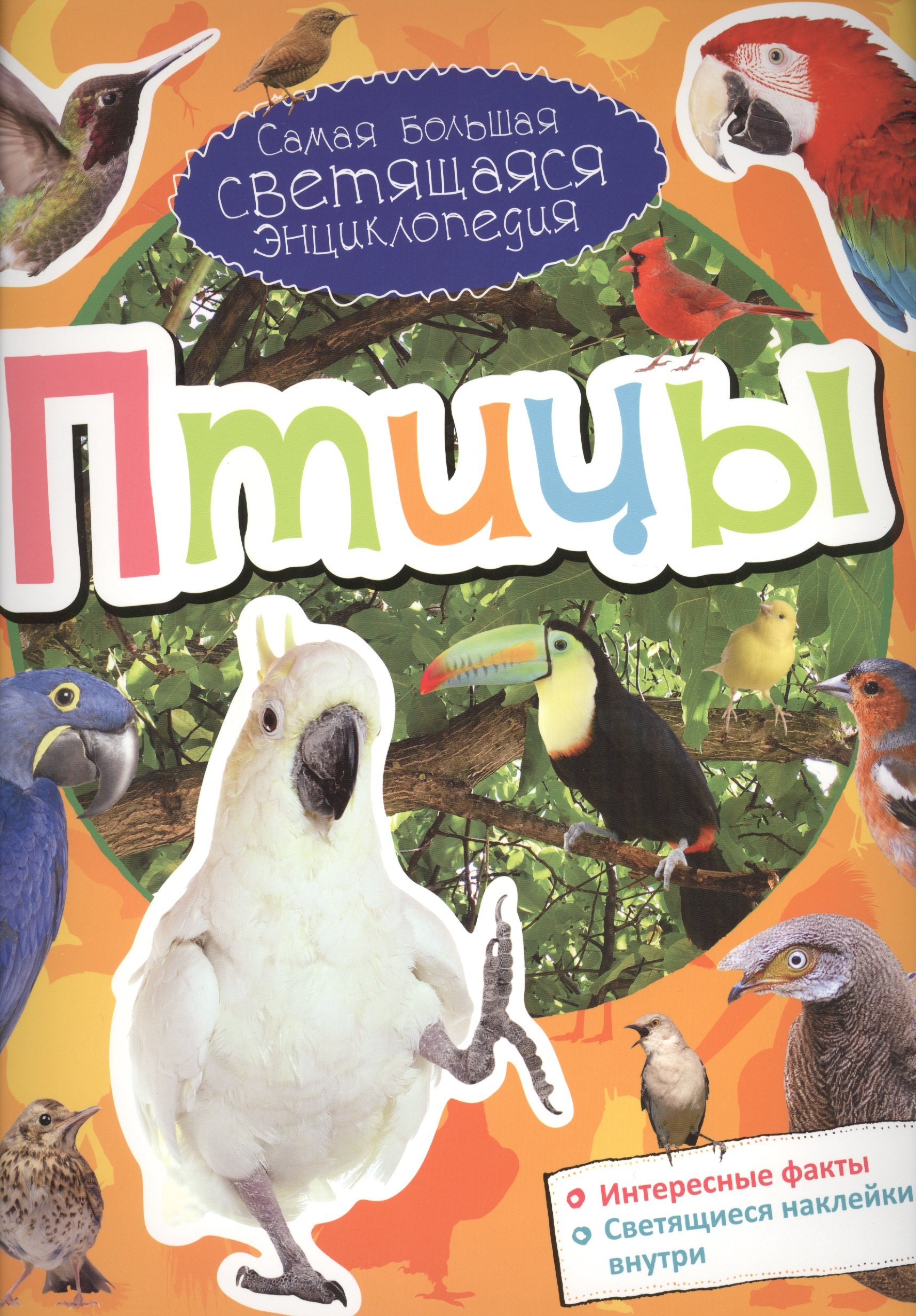 

Птицы