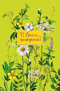 Открытка двойная С днем Рождения! (пустая) код Н 0164.342