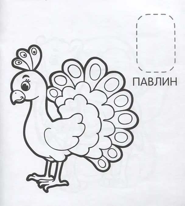 Книга Удивительные животные (Наталья Котятова) — 4