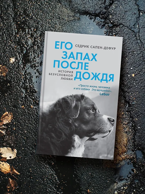 Книга Его запах после дождя (Седрик Сапен-Дефур) — 10