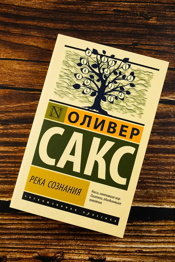 Книга Река сознания (Оливер Сакс) — 7