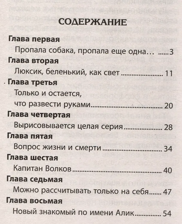 Книга Чудесное спасение (Никита Трубачев) — 3