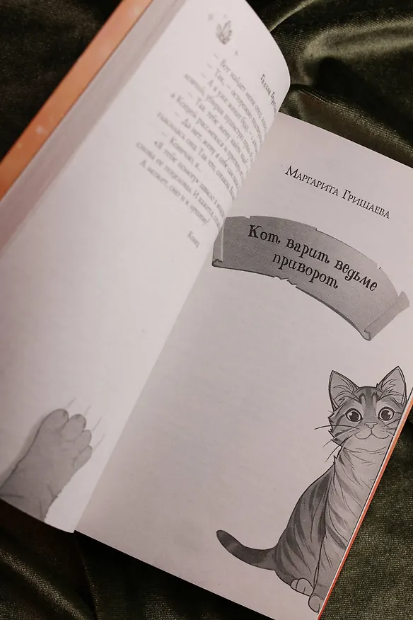 Книга Замурчательное фэнтези (Марина Ефиминюк, Маргарита Гришаева, Наталья Мамлеева, Милена Завойчинская, Наталья Косухина, Рина Ских, Галина Герасимова, Маргарита Ардо) — 14