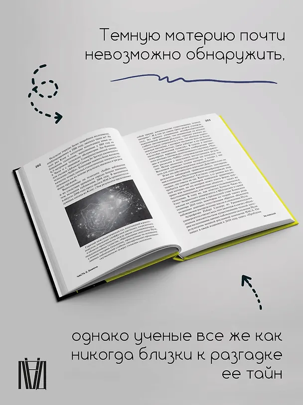 Книга Слон во Вселенной. 100 лет в поисках темной материи (Говерт Шиллинг) — 7