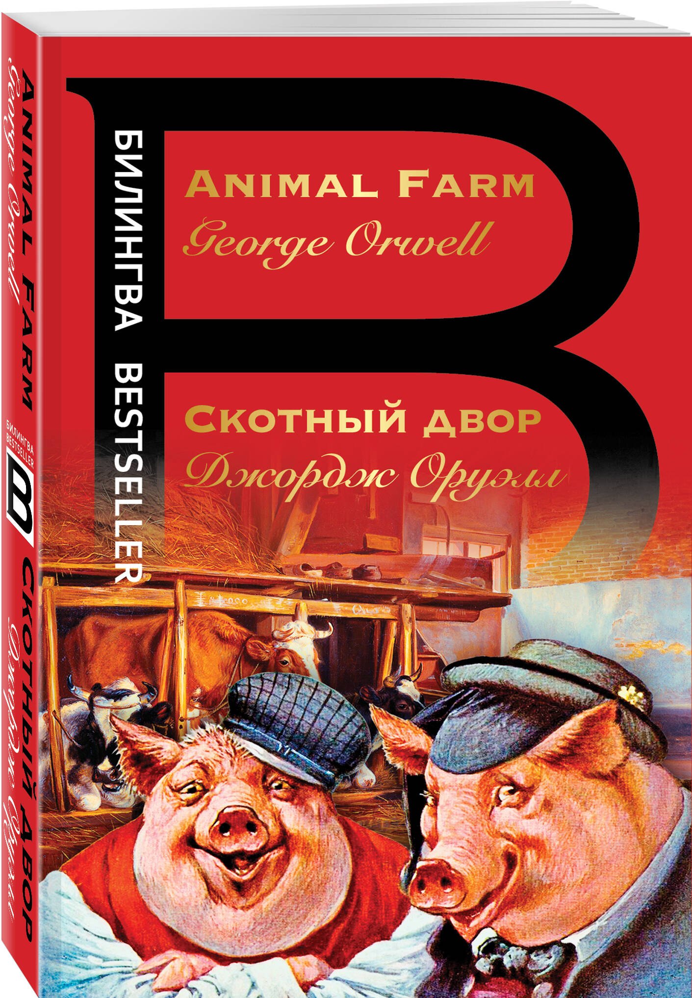 Изображение бумажной книги