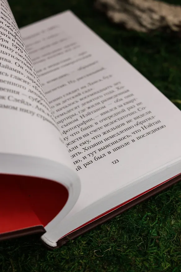 Книга Голодный дом (Дэвид Стивен Митчелл) — 19
