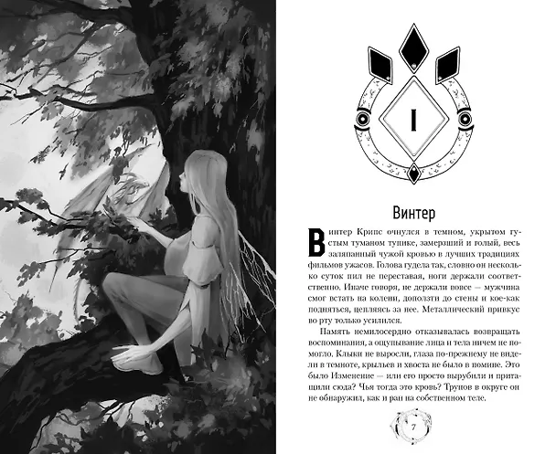 Книга Ищи на улице Фей () — 4