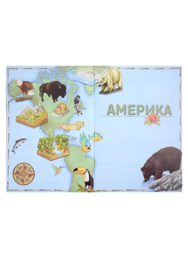 Книга Первый атлас для детей. Животные () — 4