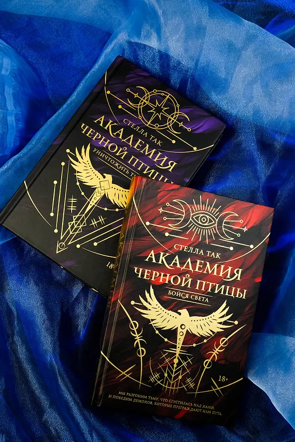 Книга Академия Черной птицы. Бойся света (Стелла Алиссия Так) — 8