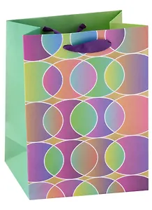 Пакет А5 23*18*10 "Цветные овалы" нейтр., бум.мат