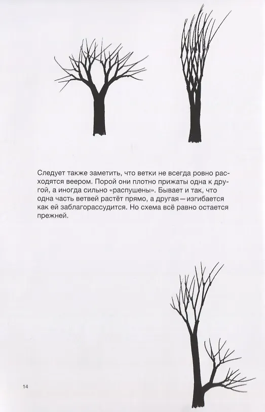 Книга Рисуем дерево (Бруно Мунари) — 5
