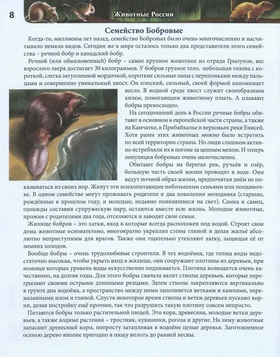 Книга Животные России. Энциклопедия (Леся Калугина) — 2