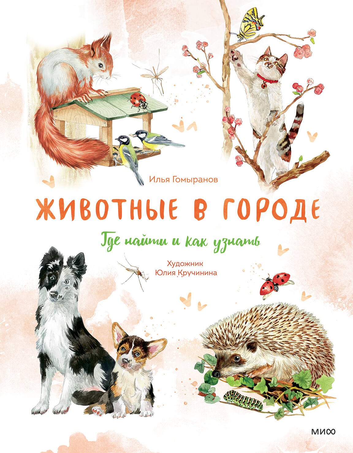 

Животные в городе. Где найти и как узнать