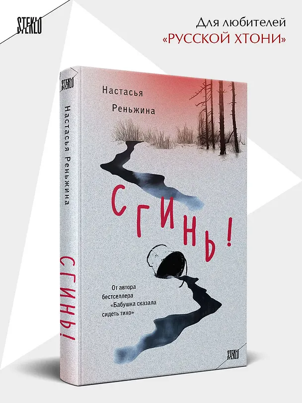 Книга Сгинь!: роман (Настасья Реньжина) — 6