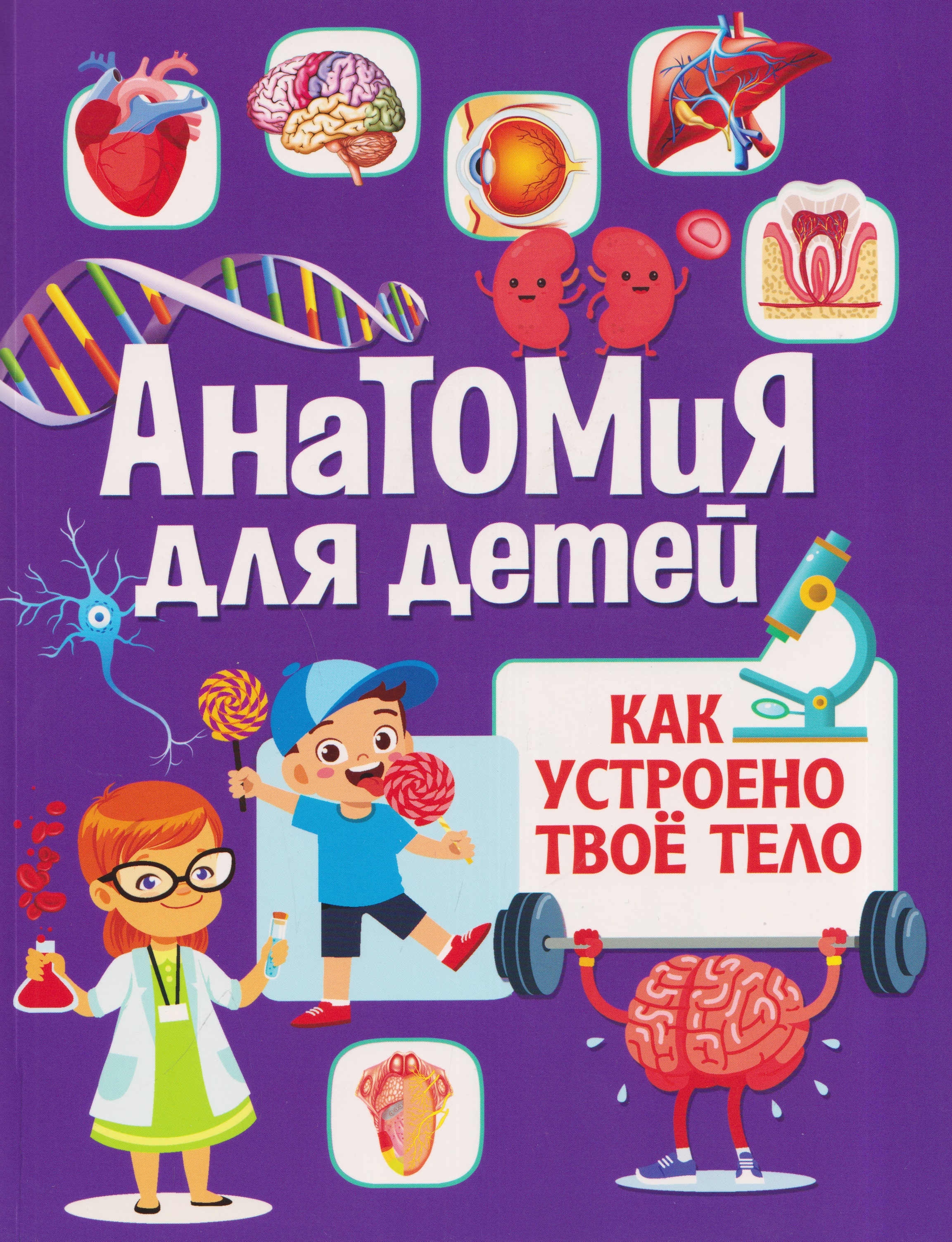 None Анатомия для детей. Как устроено твоё тело