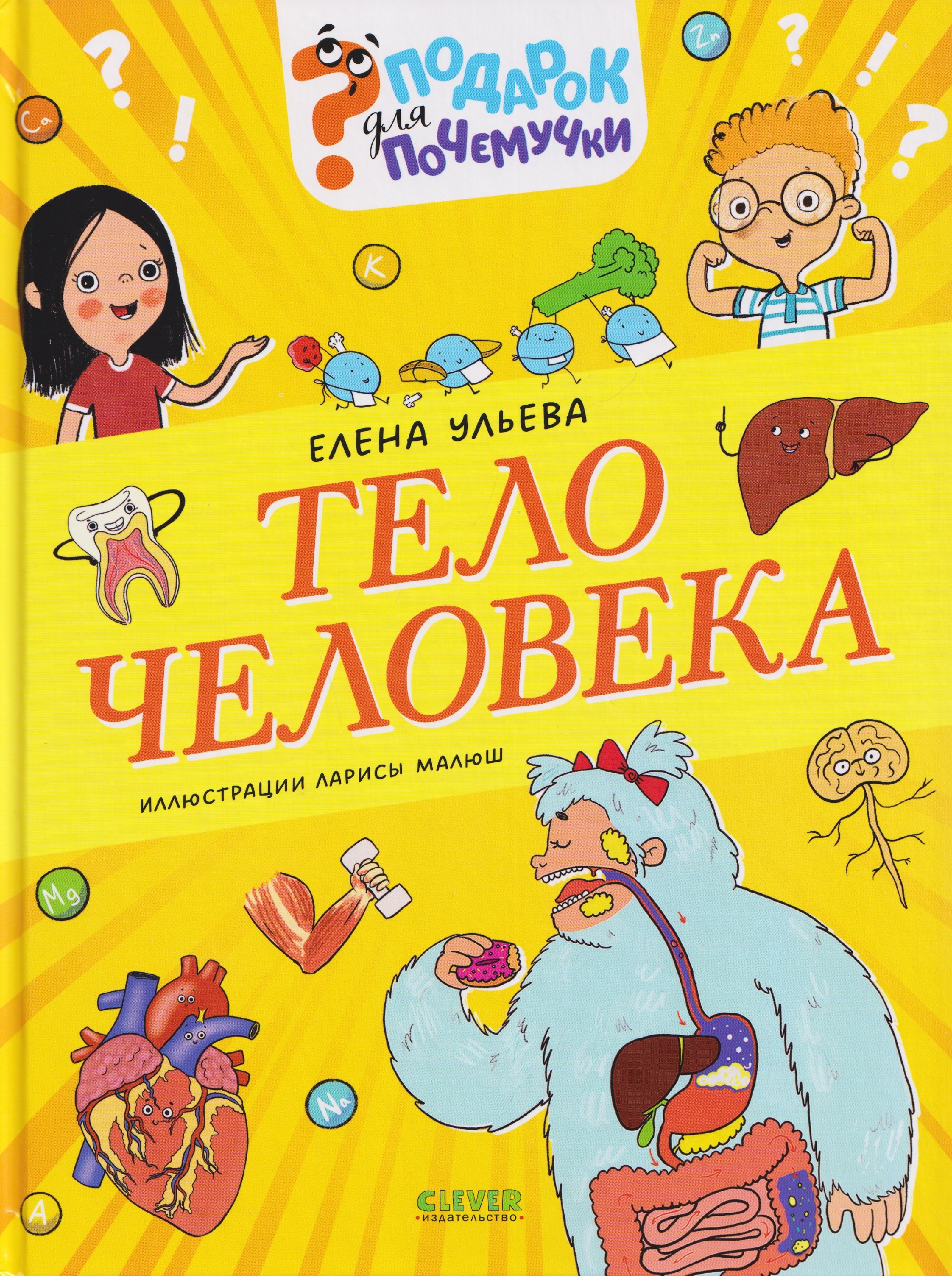 Тело человека