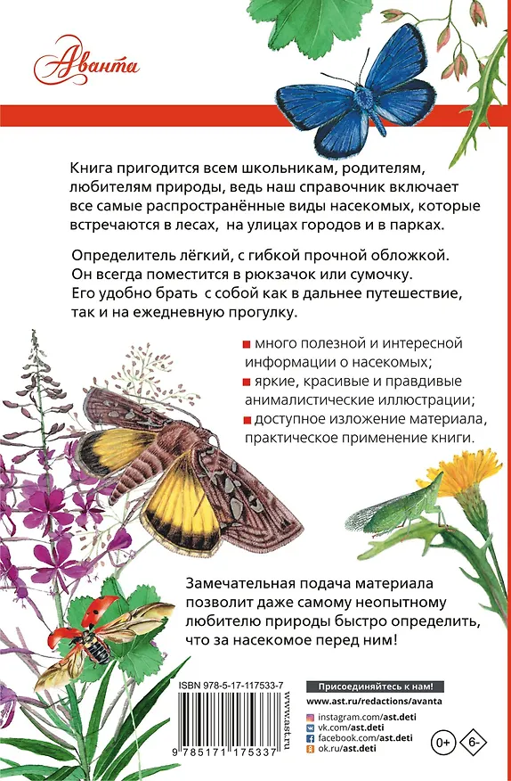 Книга Насекомые России (Владимир Полевод, Илья Гомыранов) — 2