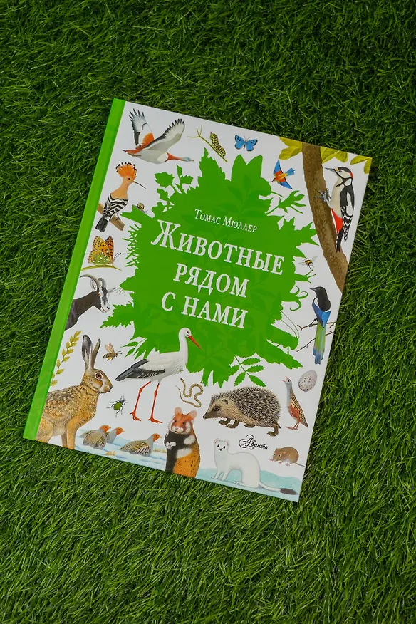 Книга Животные рядом с нами (Томас Мюллер) — 8