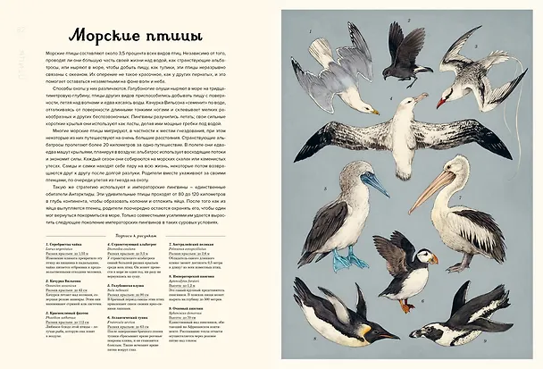 Книга Океанариум (Лавдэй Триник) — 17