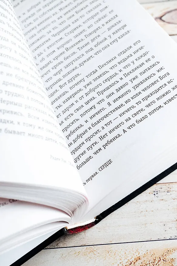 Книга Сказ о змеином сердце, или Второе слово о Якубе Шеле (Радек Рак) — 12