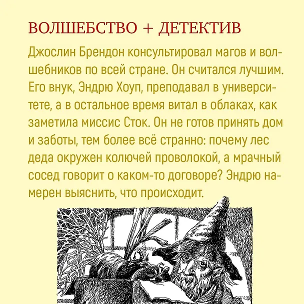 Книга Волшебный витраж (Диана Джонс) — 5