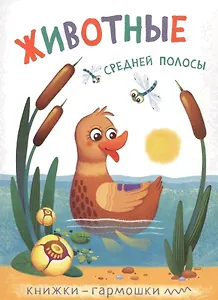 Книжки-гармошки. Животные средней полосы