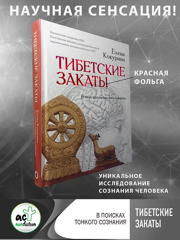 Книга Тибетские закаты. В поисках тонкого сознания (Елена Кокурина) — 2