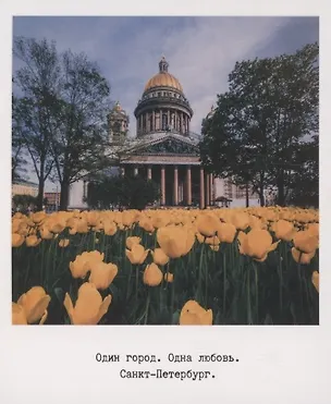 Открытка одинарная «Исаакиевский собор, тюльпан» фото 3045511