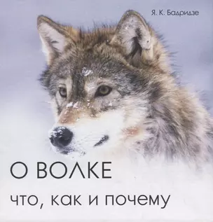 О волке. Что, как и почему — 2722802 — 1