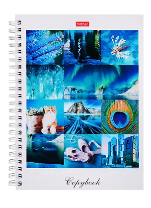 Тетрадь в клетку Hatber, "Краски дня", 80 листов 255023