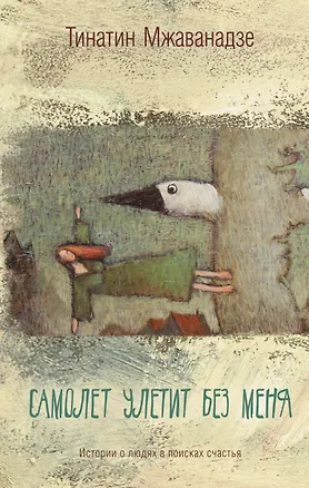 Книга Самолет улетит без меня (Тинатин Мжаванадзе)