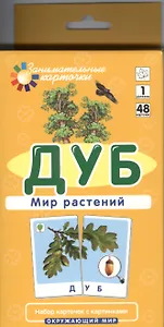 Дуб. Мир растений. Окружающий мир. Игра развивающая и обучающая. Для детей от 5 лет