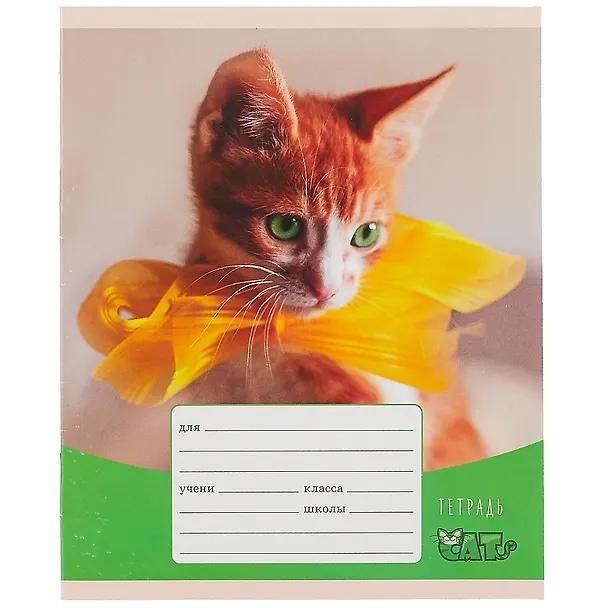 Тетрадь в клетку Listoff «Игривые котята» в ассортименте, 12 листов 259409 — 6