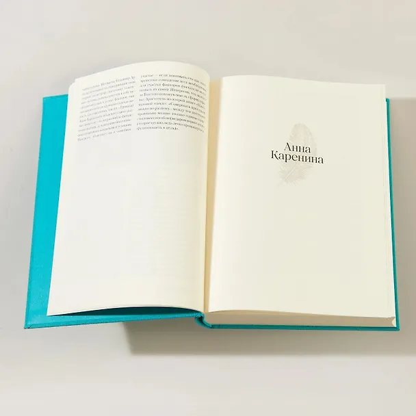 Книга Анна Каренина. Роман в восьми частях (Лев Толстой) — 15