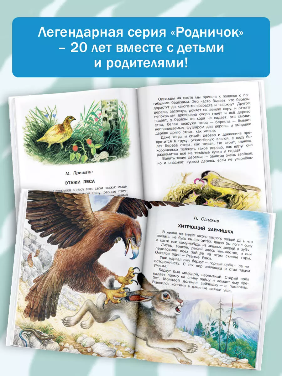 Родничок: книга для внеклассного чтения в 4-м классе (Виталий Бианки, Иван  Бунин, Михаил Пришвин, Иван Тургенев, Евгений Шварц) - купить книгу с  доставкой в интернет-магазине «Читай-город». ISBN: 978-5-17-089943-2