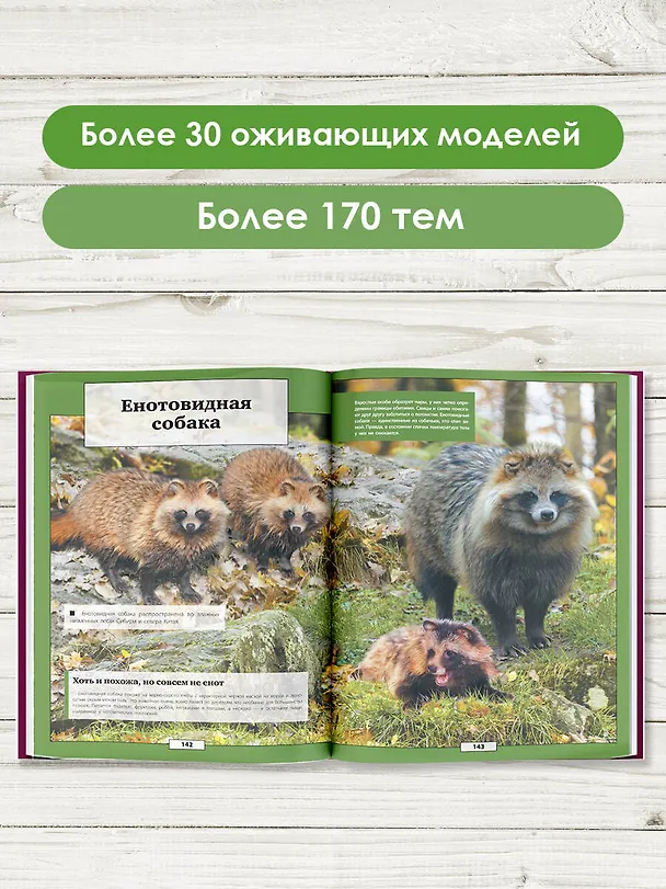Книга Животные (Елена Папуниди) — 5