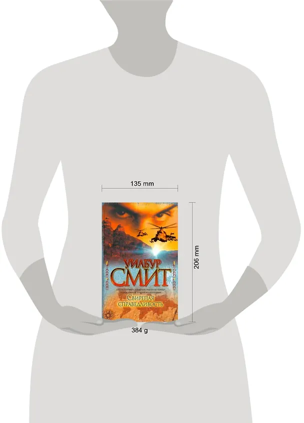Книга Свирепая справедливость (Уилбур Смит) — 2