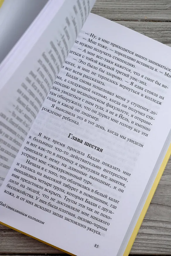 Книга Под стеклянным колпаком (Сильвия Плат) — 10
