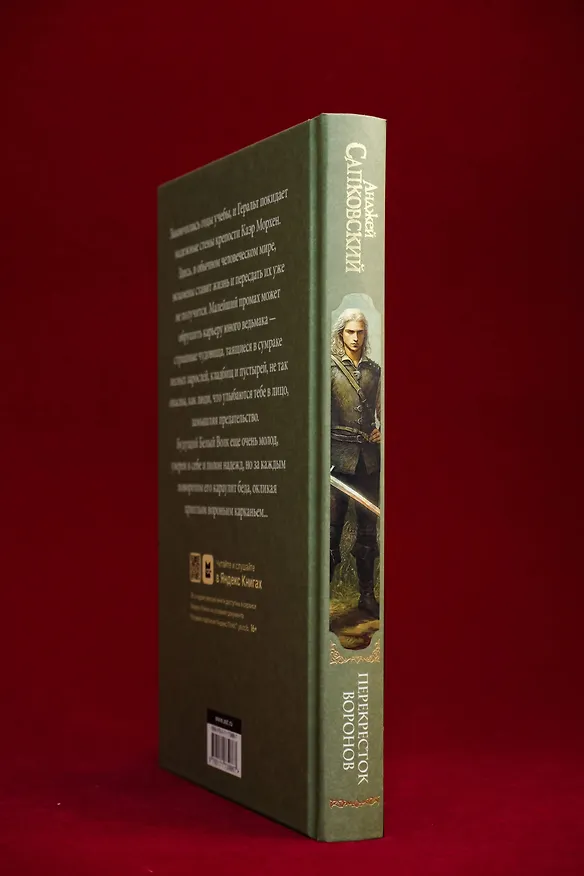 Книга Перекресток Воронов  (Анджей Сапковский) — 13